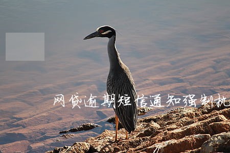 网贷逾期短信通知强制执行 网贷逾期短信通知强制执行