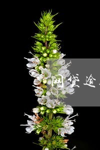 网贷逾期短信骚扰父母 网贷逾期短信骚扰父母