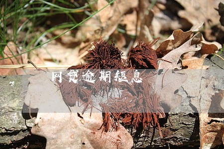 网贷逾期短息 网贷逾期短息