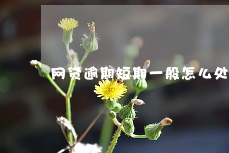 网贷逾期短期一般怎么处理 网贷逾期短期一般怎么处理