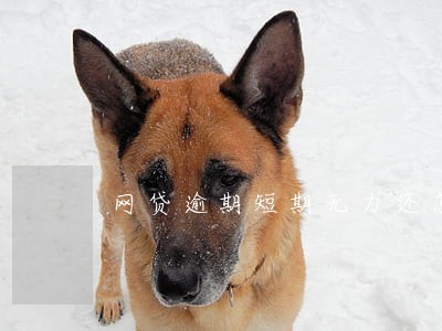 网贷逾期短期无力还怎么办 网贷逾期短期无力还怎么办