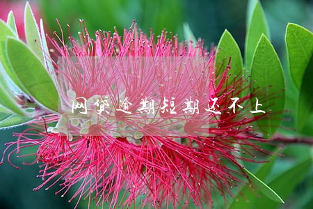 网贷逾期短期还不上 网贷逾期短期还不上