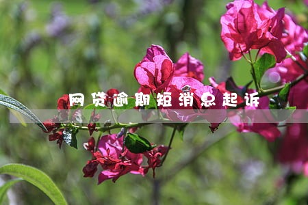 网贷逾期短消息起诉 网贷逾期短消息起诉