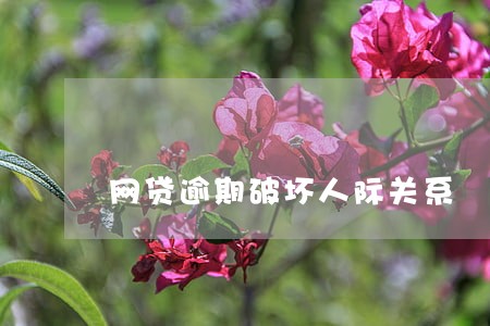网贷逾期破坏人际关系 网贷逾期破坏人际关系
