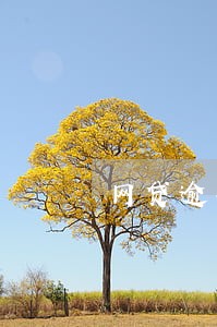 网贷逾期社保卡上的钱被扣了 网贷逾期社保卡上的钱被扣了