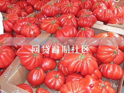 网贷逾期社区 网贷逾期社区