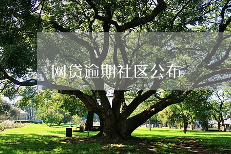 网贷逾期社区公布 网贷逾期社区公布