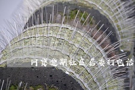 网贷逾期社区居委打电话 网贷逾期社区居委打电话