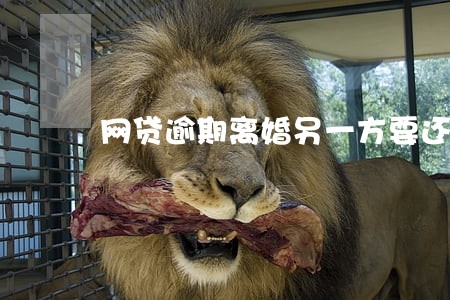 网贷逾期离婚另一方要还吗 网贷逾期离婚另一方要还吗