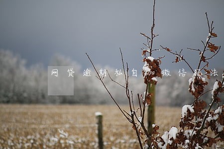 网贷逾期私自加微信犯法吗 网贷逾期私自加微信犯法吗