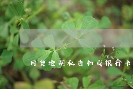 网贷逾期私自扣我银行卡的钱