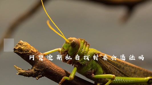 网贷逾期私自找村委会违法吗 网贷逾期私自找村委会违法吗