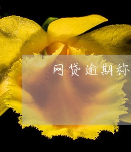 网贷逾期称被别人冒用身份证 网贷逾期称被别人冒用身份证