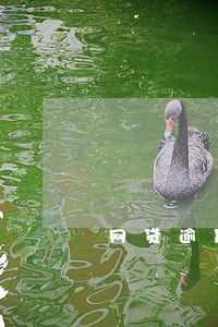 网贷逾期移交司法部