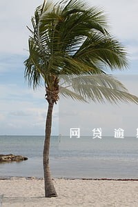 网贷逾期移交当地经侦 网贷逾期移交当地经侦