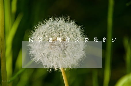 网贷逾期移交费是多少 网贷逾期移交费是多少