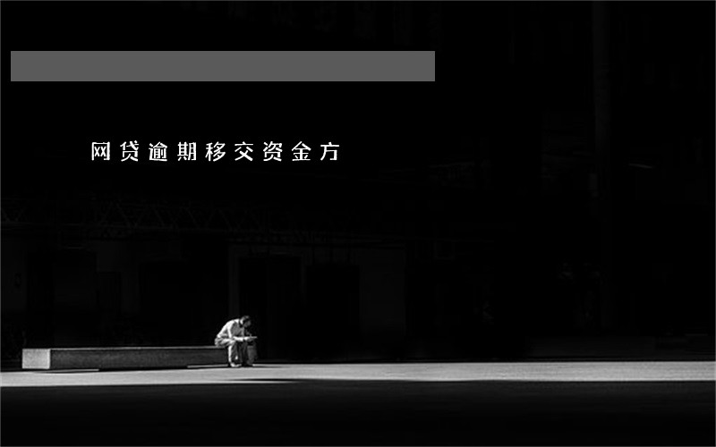 网贷逾期移交资金方 网贷逾期移交资金方