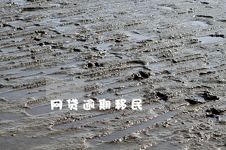 网贷逾期移民 网贷逾期移民