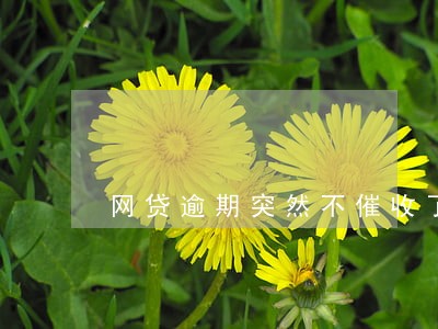 网贷逾期突然不催收了怎么办 网贷逾期突然不催收了怎么办