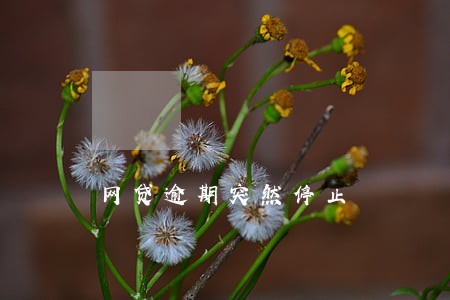 网贷逾期突然停止 网贷逾期突然停止