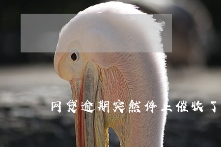 网贷逾期突然停止催收了 网贷逾期突然停止催收了
