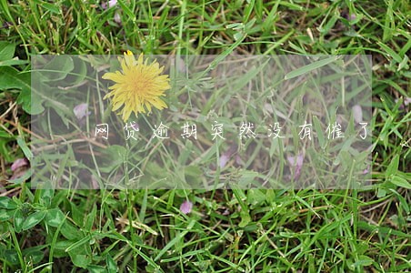 网贷逾期突然没有催了 网贷逾期突然没有催了