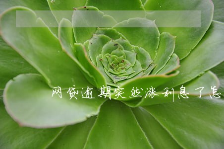 网贷逾期突然涨利息了怎么办