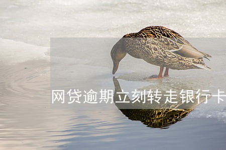 网贷逾期立刻转走银行卡的钱