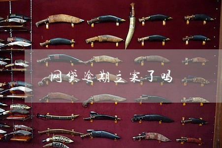 网贷逾期立案了吗
