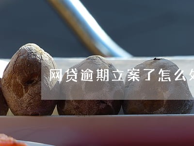 网贷逾期立案了怎么处理 网贷逾期立案了怎么处理