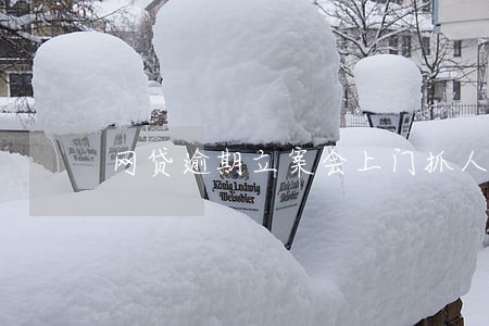 网贷逾期立案会上门抓人吗 网贷逾期立案会上门抓人吗