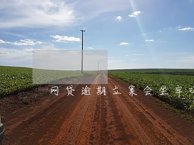网贷逾期立案会坐牢吗 网贷逾期立案会坐牢吗