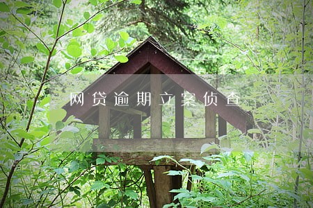 网贷逾期立案侦查 网贷逾期立案侦查