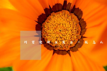 网贷逾期立案后一般怎么处理 网贷逾期立案后一般怎么处理