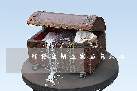 网贷逾期立案后怎么办 网贷逾期立案后怎么办