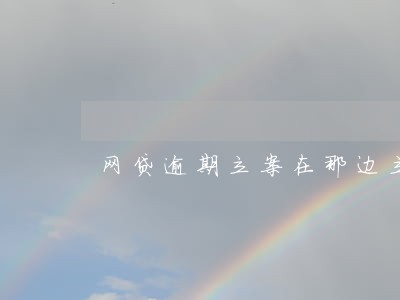 网贷逾期立案在那边立 网贷逾期立案在那边立