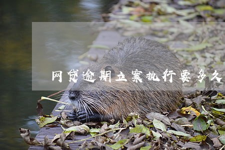 网贷逾期立案执行要多久 网贷逾期立案执行要多久
