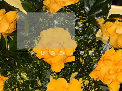 网贷逾期立案抓人 网贷逾期立案抓人