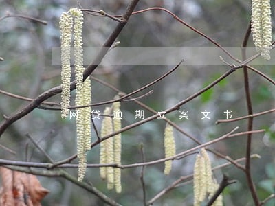 网贷逾期立案文书 网贷逾期立案文书