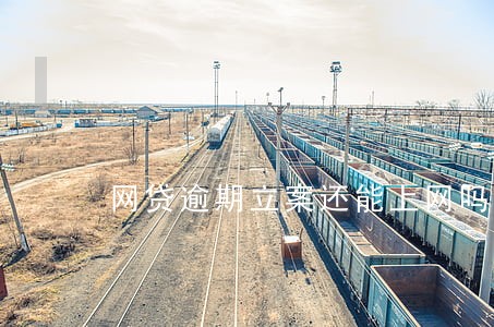 网贷逾期立案还能上网吗 网贷逾期立案还能上网吗