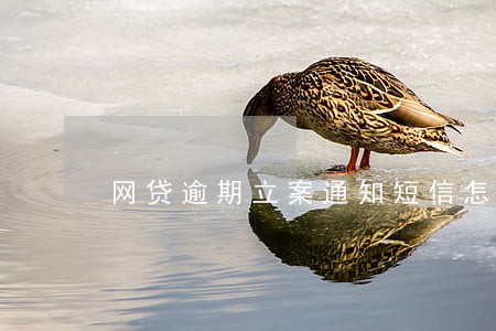 网贷逾期立案通知短信怎么写