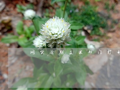 网贷逾期立案部门打电话来 网贷逾期立案部门打电话来