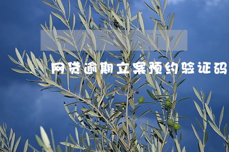 网贷逾期立案预约验证码 网贷逾期立案预约验证码