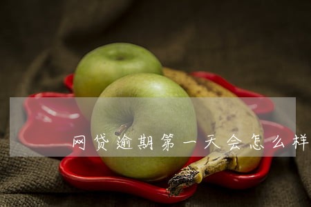 网贷逾期第一天会怎么样 网贷逾期第一天会怎么样