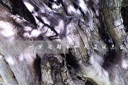 网贷逾期第一天应该怎么办 网贷逾期第一天应该怎么办
