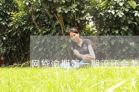 网贷逾期第一期没还会怎么样 网贷逾期第一期没还会怎么样