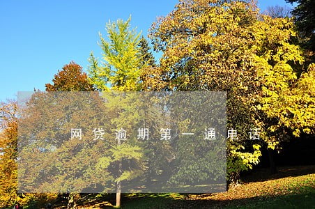 网贷逾期第一通电话 网贷逾期第一通电话