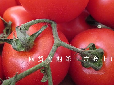 网贷逾期第三方会上门吗 网贷逾期第三方会上门吗