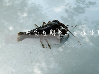 网贷逾期第三方催债怎么办 网贷逾期第三方催债怎么办