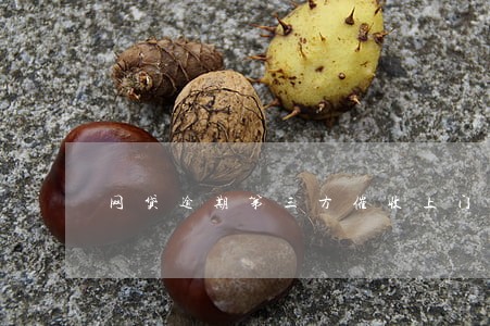 网贷逾期第三方催收上门签字 网贷逾期第三方催收上门签字